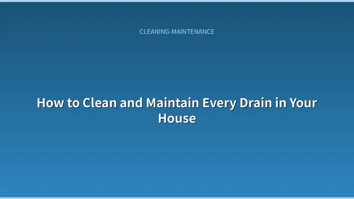 How to Clean and Maintain Every Drain in Your House